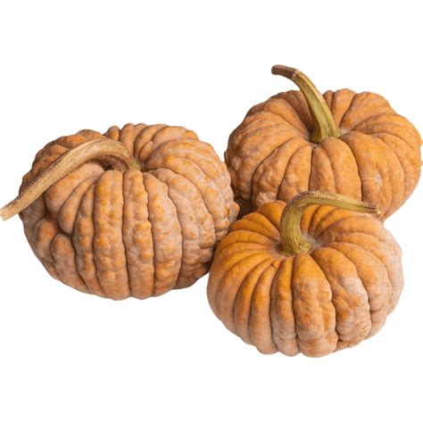 Mini Asian Heirloom Pumpkin - Fresh Leaf UAE
