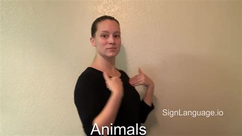 animals in ASL - Example # 2 - American Sign Language