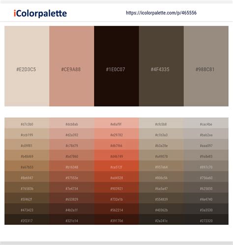 What Colors Make Bone at Naomi Brown blog