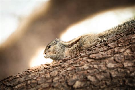 Anime+Big+Boobs+Bikini Photos, Download The BEST Free Anime+Big+Boobs ...