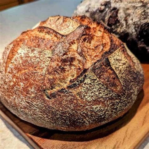 Make Your Own Oat Milk In Three Easy Steps - Sourdough Guide