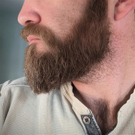 One month prep time for No Shave November. I'm going for the yeard ...