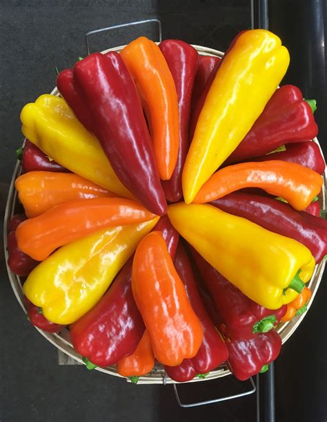 Italian Sweet Peppers Recipe