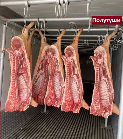 Продам: мясо свинины разделка и полутуши в Москве