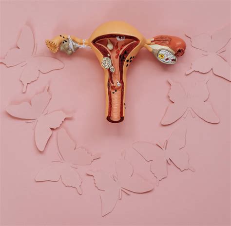 Endometrial ablation - Dr Tanushree Rao Women Health Blog