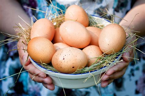 Правила хранения куриных деревенских яиц