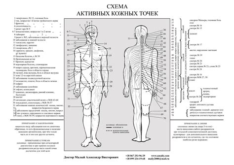 Лечение апитерапией: выбор точек ужаливания в зависимости от болезней ...