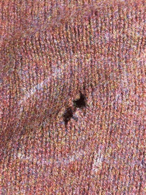 Can Moth Holes In Cashmere Be Repaired at David Montelongo blog