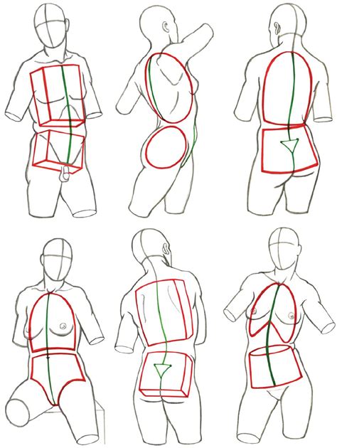 Structures and Planes of the Figure - Classic Human Anatomy in Motion: The Artist's Guide to th ...