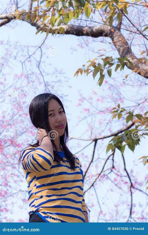 Beautiful Thai Woman with Wild Himalayan Cherry, Portrait Stock Photo ...