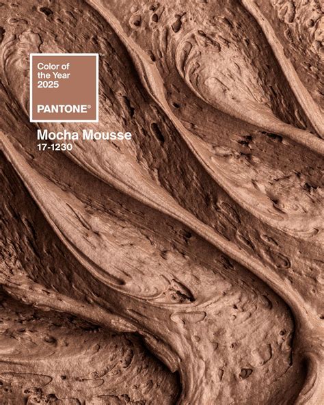 Pantone Color of the Year 2025: PANTONE Mocha Mousse | Mocha, Color of ...