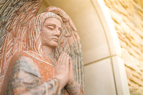 Divine Mercy Funeral Home - Compassionate funeral services, expert care ...