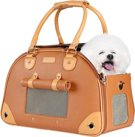 Amazon.com : Sasapet Dog Carrier, Pet Carrier, Dog Purse, Foldable ...