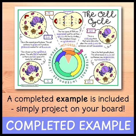 Cell Cycle Cartoon at Tina Lown blog