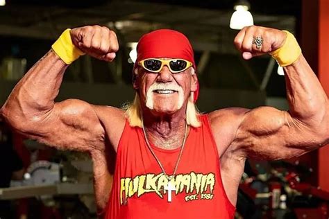 Hulk Hogan News - Latest Hulk Hogan News & Updates
