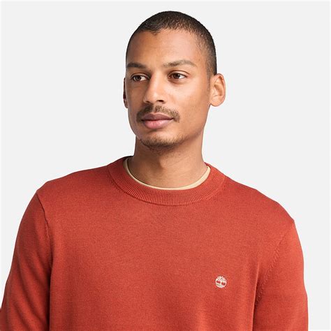 Williams River Cotton Yarn Dyed Jumper for Men in Red