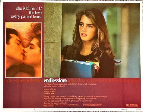 Amour Sans Fin Brooke Shields Un Amour Sans Fin Film 2014