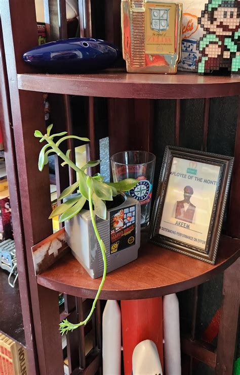 My wife is a plant ninja! Everytime I turn around there is a new plant somewhere in here. : r ...