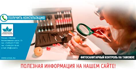 Фитосанитарный контроль на таможне — фитосанитарные услуги для экспорта