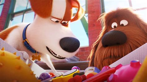 [100+] The Secret Life Of Pets 2 Wallpapers | Wallpapers.com