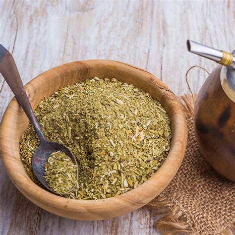 Buy Yerba Mate Plants for Sale | Caffeinated Tea | Perfect Plants