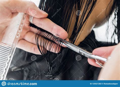 Hairdresser Cutting Client`s Hair in Salon with Scissors Closeup. Using ...