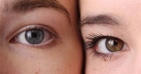 Understanding genetics: What are "penetrance" and "expressivity"? | Helix