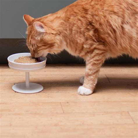 Cat Food - Tuft & Paw