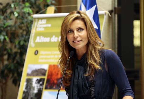 Gonzalo Rojas Vildósola, quién es el marido de Andrea Molina, ex diputada chilena