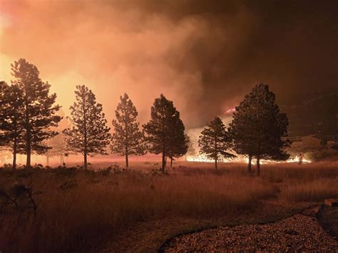 A ‘favorable’ forecast after Elk Fire grows to 73,000 acres