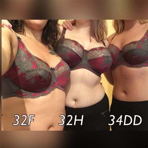 Double D Cup Breast Size
