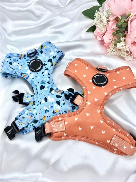 Cute Dog Harness Set, Terrazzo Orange Boho Accessories, Birthday Gift ...