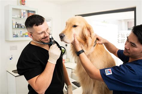 Veterinarians: Meaning, Types, and Specializations