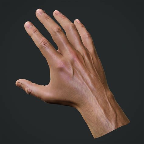 Realistic Hand 3D Models download - Free3D