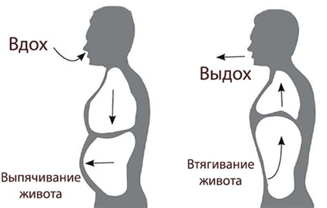 Диафрагмальное дыхание: полезные свойства и вред | Польза и вред