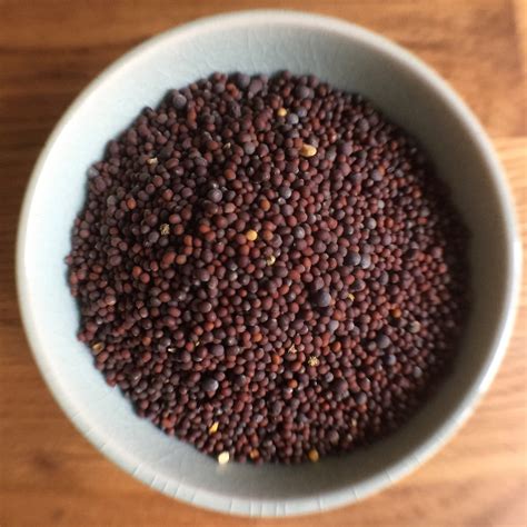 Brown Mustard Seed | The Kitchen Imp