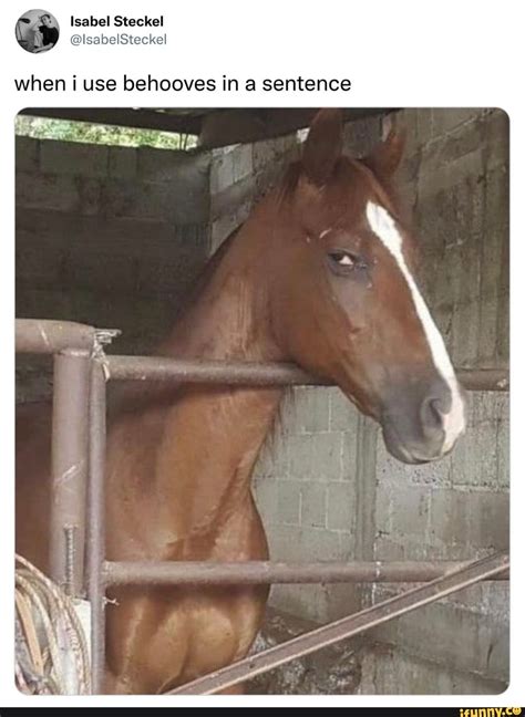 Behooves memes. Best Collection of funny Behooves pictures on iFunny