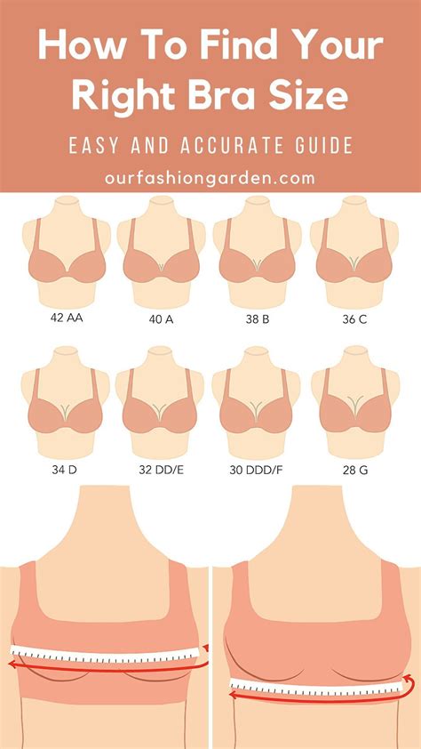 How to find your bra size the easy guide – Artofit
