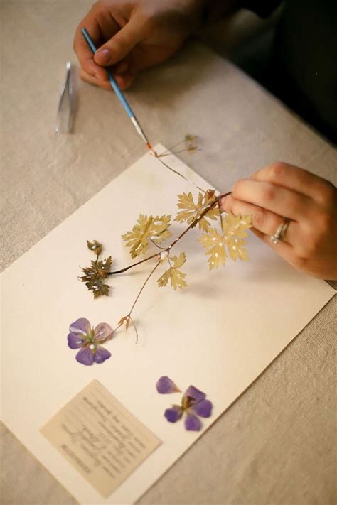 DIY Vintage-Inspired Pressed Flower Art — Stevie Storck | Pressed ...