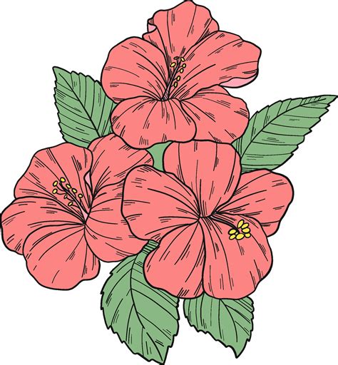 Hibiscus Flower Clipart