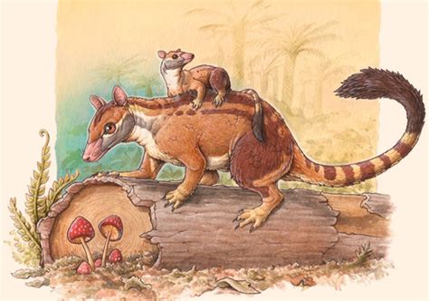 Extinct Marsupial Animals