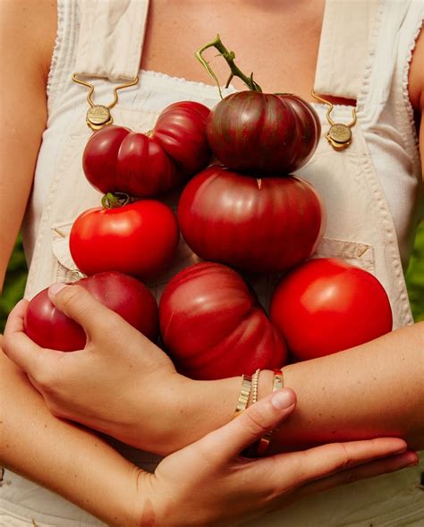 Cookbook - Wishbone Kitchen