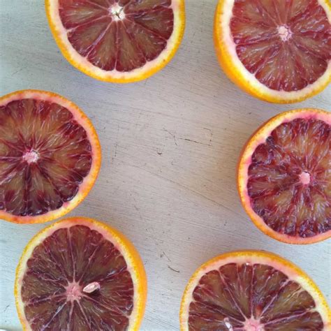 Are Blood Oranges In Season at JENENGE blog