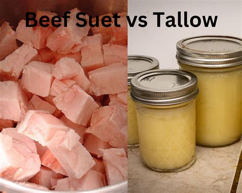 Using Beef Tallow In Cooking at Ken Escobar blog