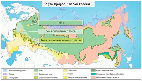 Леса России