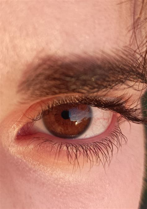 Brown eye