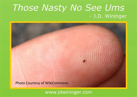 Those Nasty No See Ums - J.D. Wininger, Christian Author