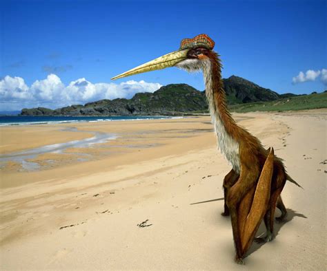Habitat Of Quetzalcoatlus
