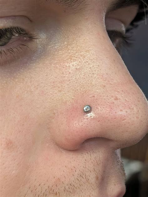 Check out his bold new look! That nostril piercing adds an edgy flair ...