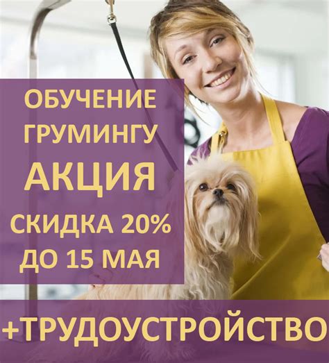 Курсы груминга в Москве - обучение стрижке и правильному уходу за собаками